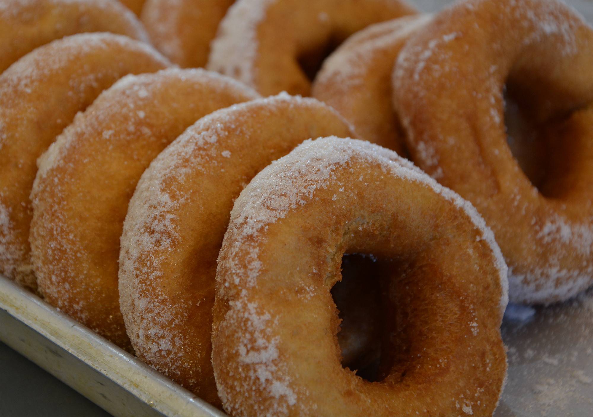 warm sugary melt in your mouth donuts at hastings adventure golf
